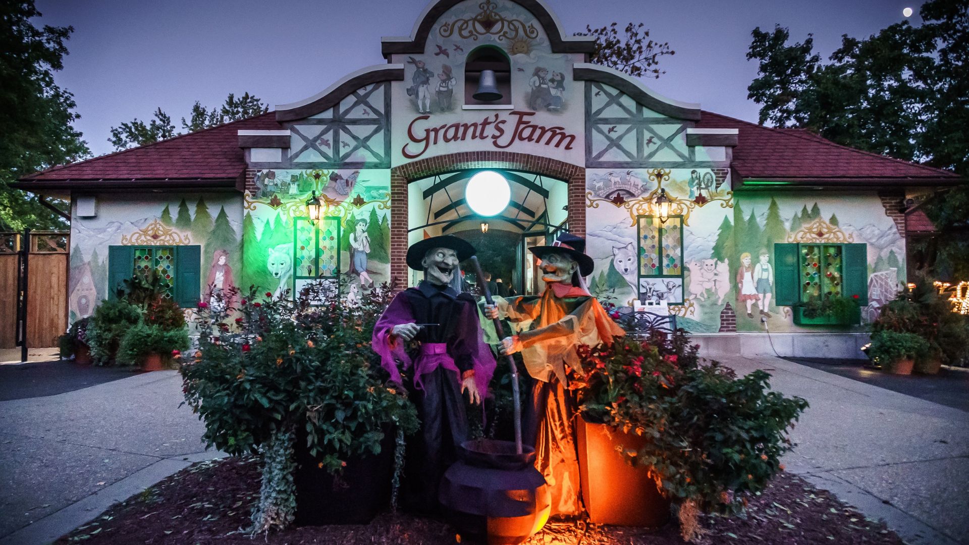 During Halloween Nights at Grant's Farm, the park features spooky decorations.