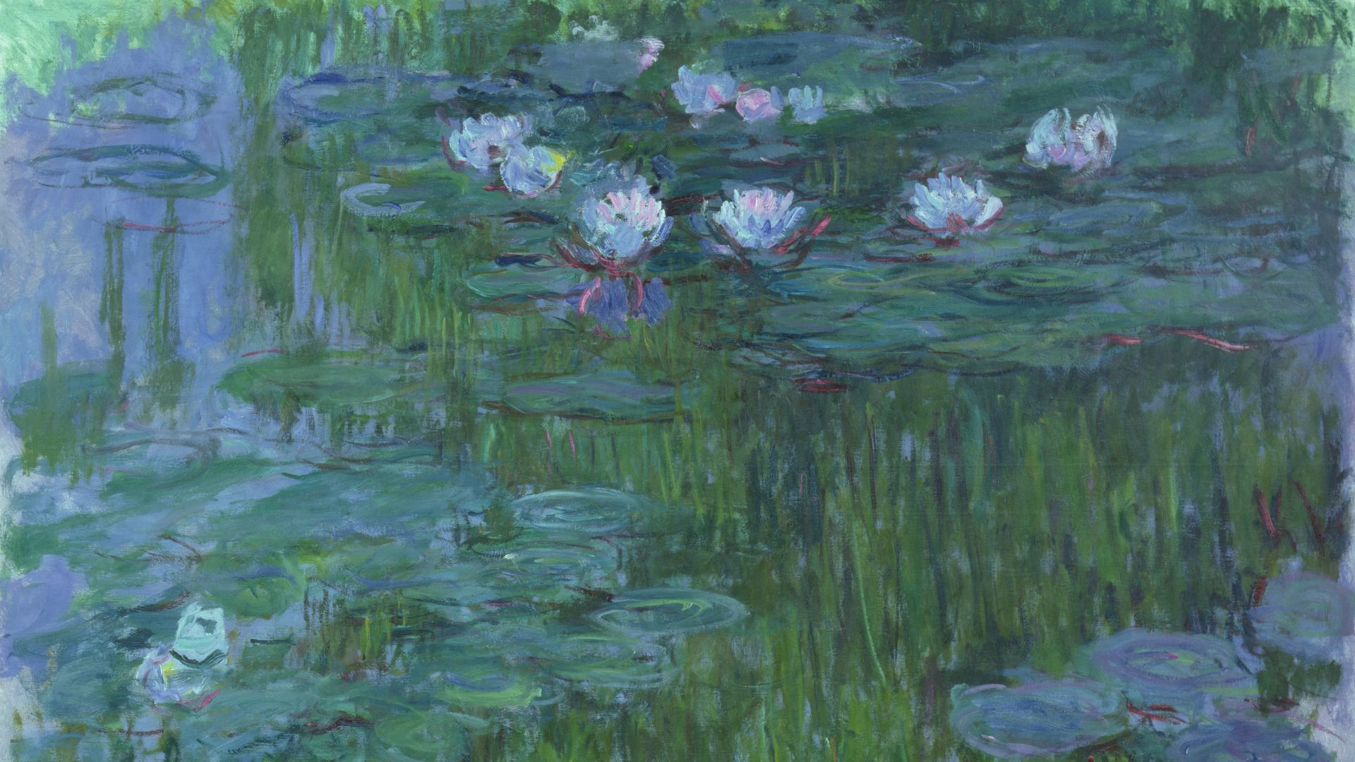 Water Lilies by Claude Monet is on view at the Saint Louis Art Museum.