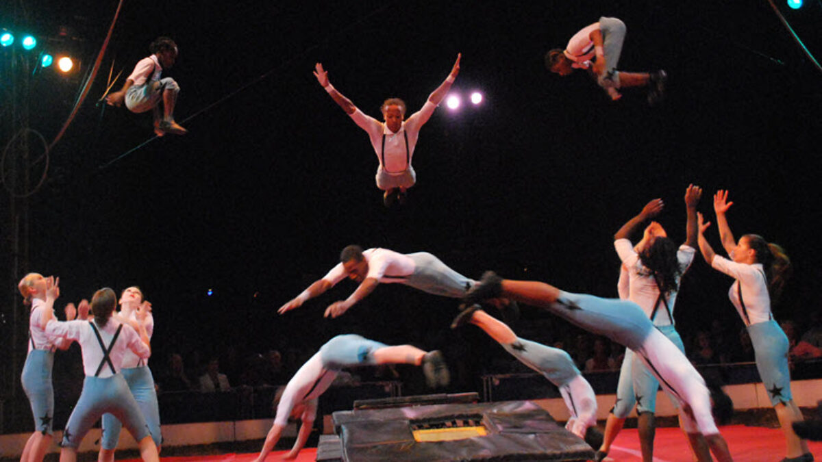 Circus-Harmony-Web-1-1200x675.jpg