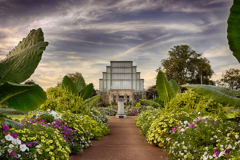 The Jewel Box, which has an Art Deco structure from the 1930s, is a display greenhouse in Forest Park.