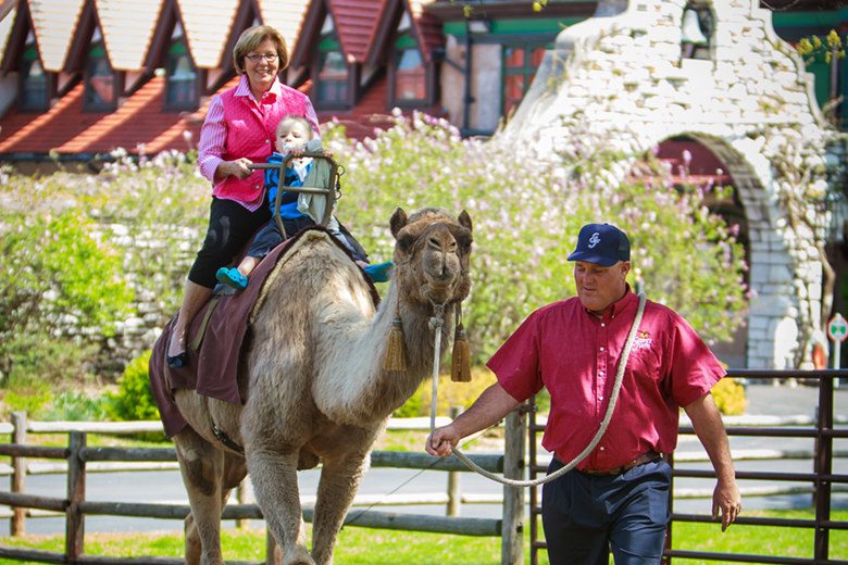 A woman and child enjoy a camel ride at Grant's Farm.