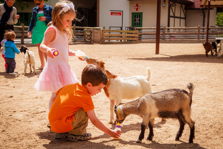 Things to Do in St. Louis with Kids_Grant's Farm