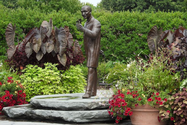 The George Washington Carver Garden at the Missouri Botanical Garden is a place of beauty, serenity and discovery.