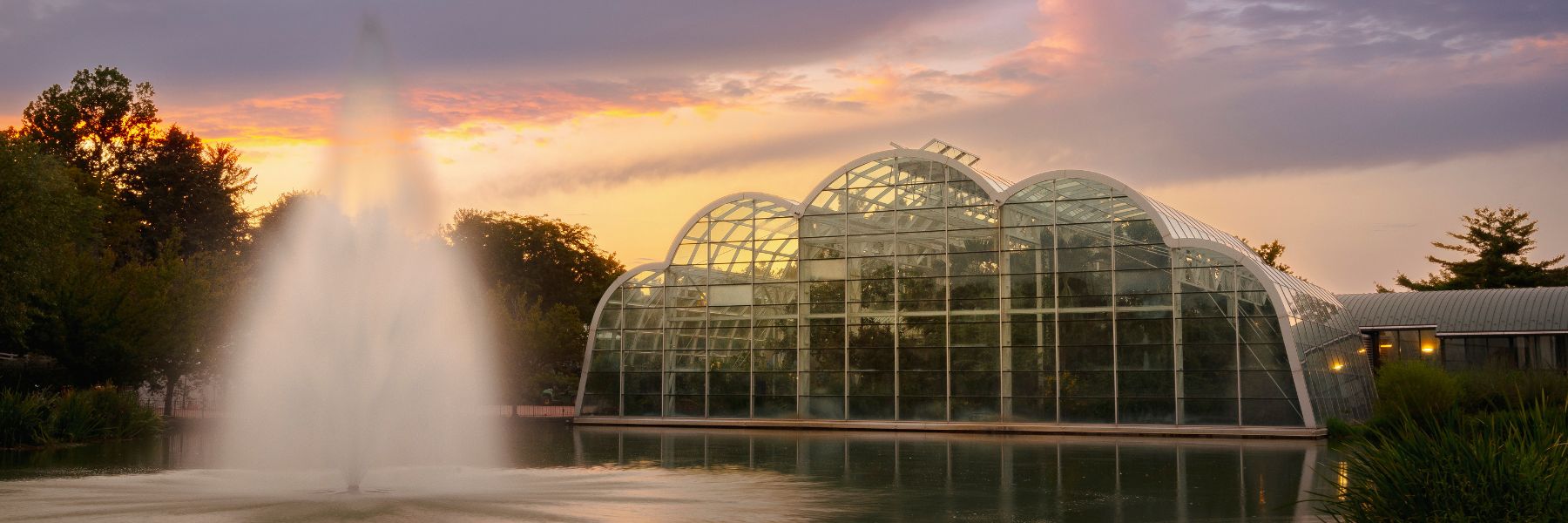 Sophia M. Sachs Butterfly House is one of the top attractions in Chesterfield.