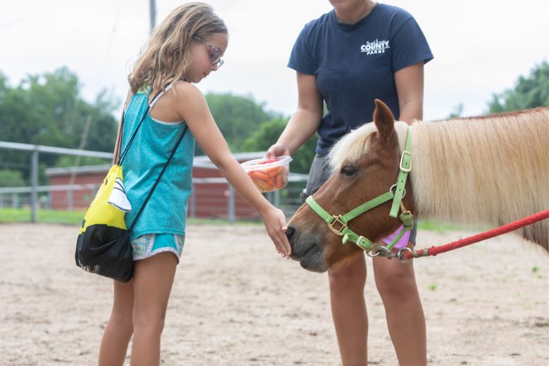 A young girl meets a pony at Suson Park.