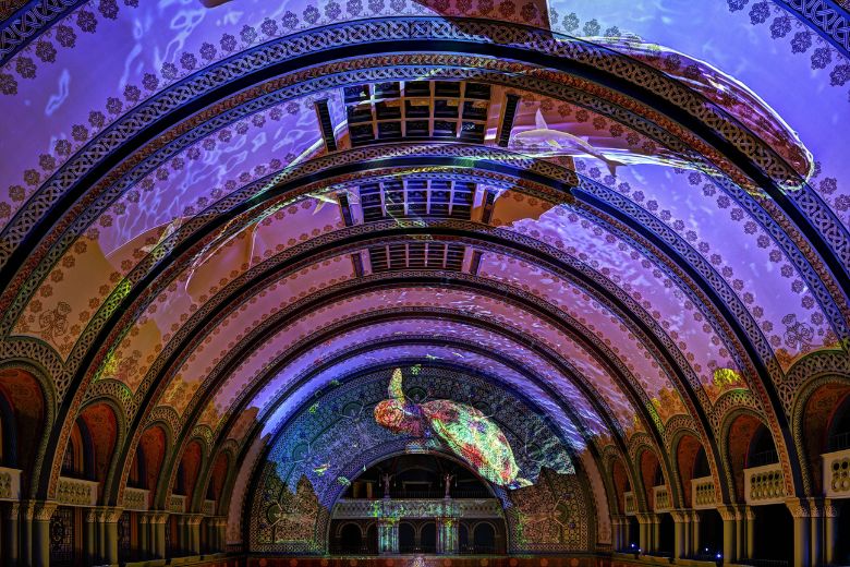 The 3D light show in the Grand Hall of St. Louis Union Station shows animals from the St. Louis Aquarium.