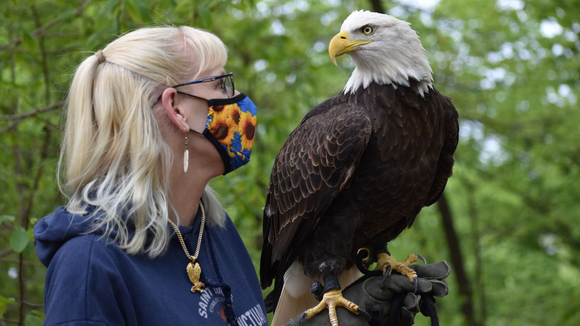 A trainer from the World Bird Sanctuary poses with a bald eagle.