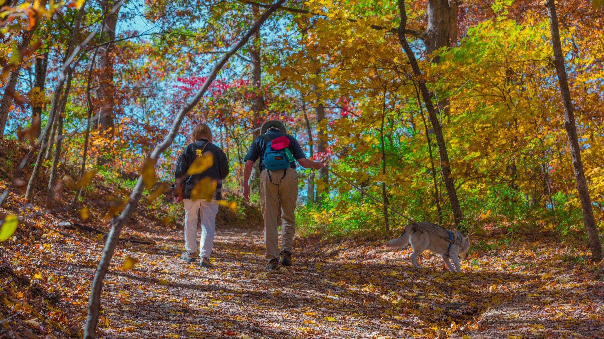 Hiking trails offer plenty of outdoor adventures in St. Louis.