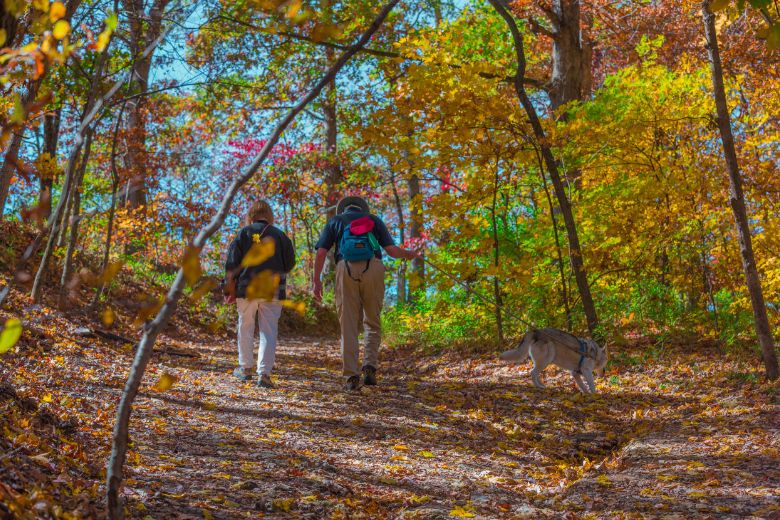 Hiking with your pet can be a fun way to explore the St. Louis region.