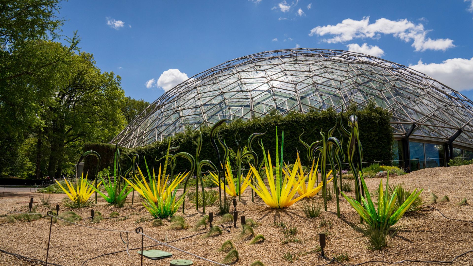Green and yellow glass forms from Dale Chihuly sit outside the Climatron at the Missouri Botanical Garden.