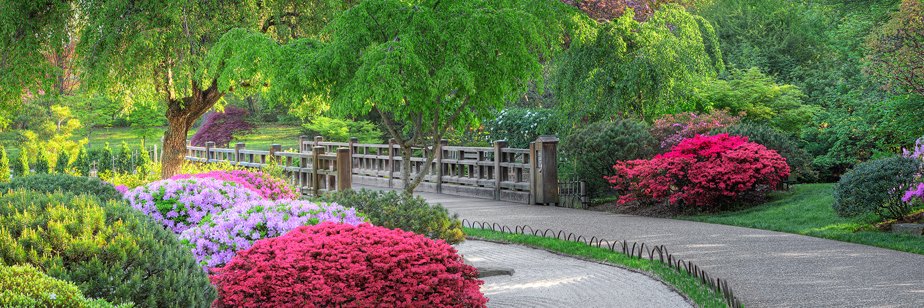 The Missouri Botanical Garden Chinese Gardens.