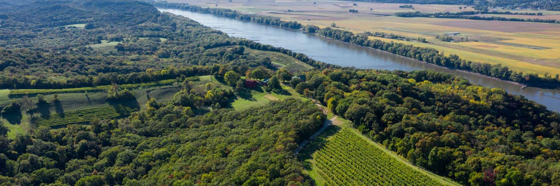 Missouri wine country is one of the best day trip options from St. Louis.