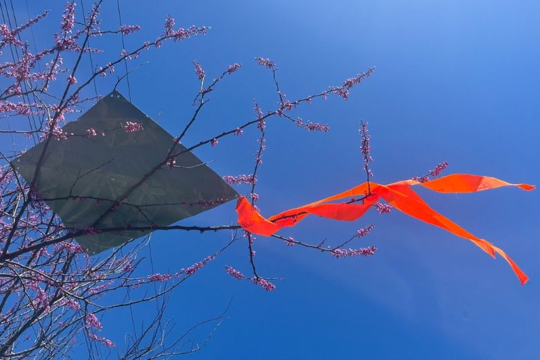 An aluminum, kite-shaped sculpture hangs in a tree at Laumeier Sculpture Park.