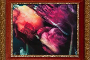 Vintage Visions, an exhibition at the Angad Arts Hotel, features colorful, ethereal photographs like these blurred roses.