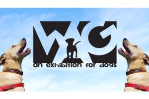 Wag - An Exhibition FOR Dogs at Foundry Art Centre.