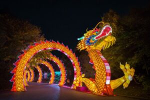 The Animals Aglow lantern festival at the Saint Louis Zoo features a colorful Chinese Dragon Corridor.