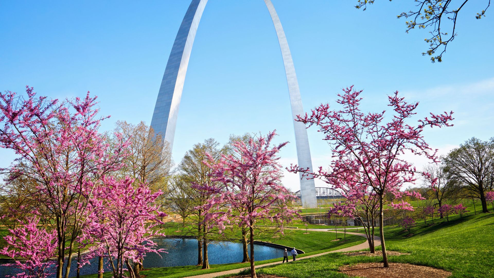 Flowering dogwoods add color to Gateway Arch National Park in the spring.