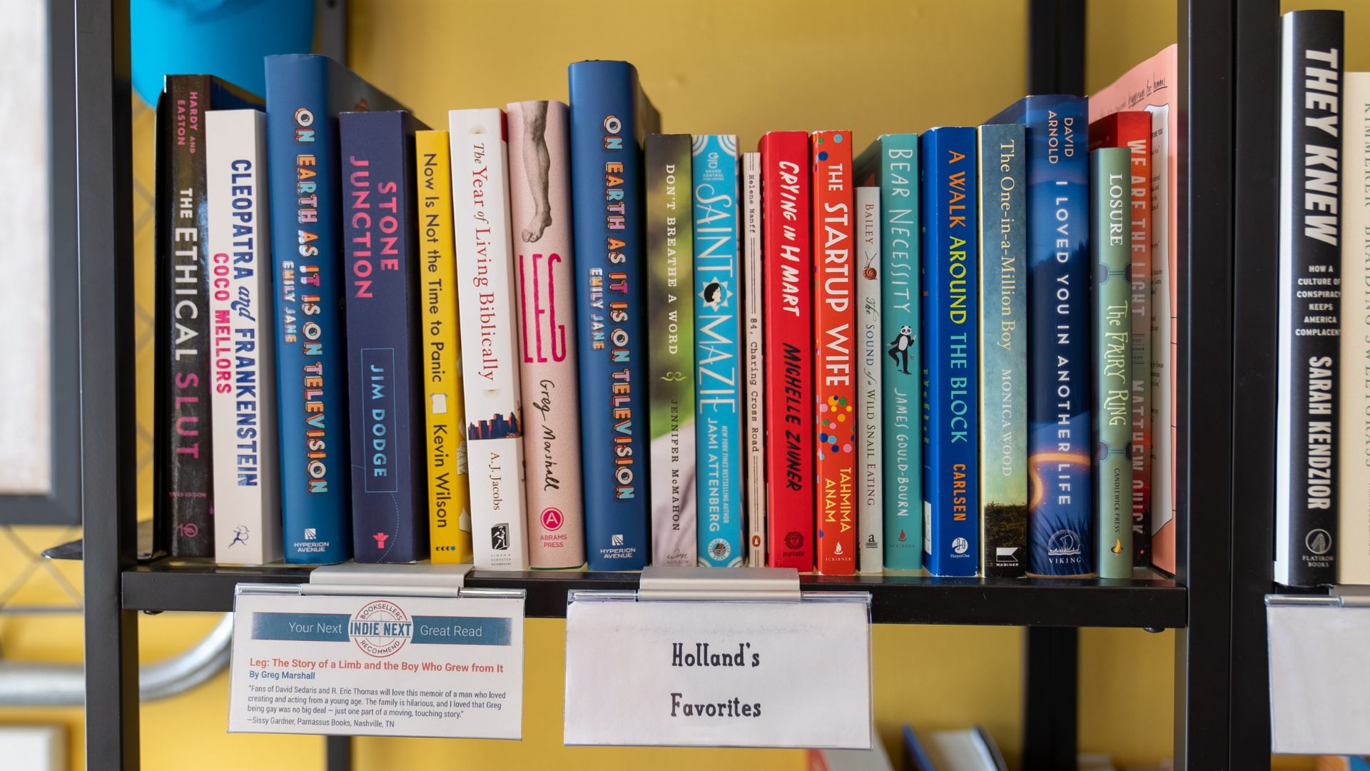 The owner of The Novel Neighbor has a shelf of her book recommendations.