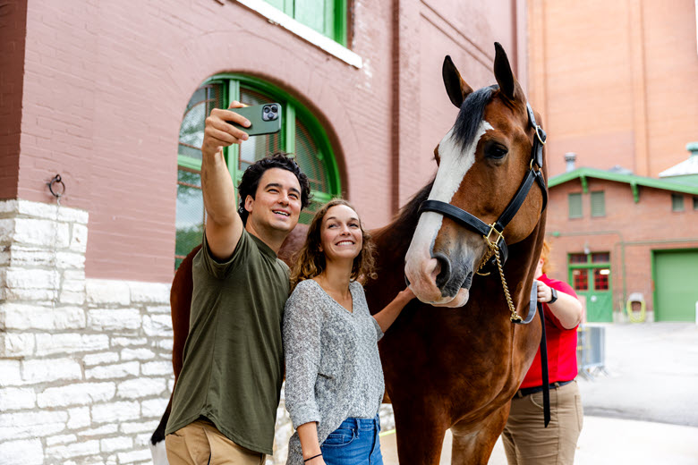 Guests enjoy the Budweiser Brewery Clydesdale VIP Experience.