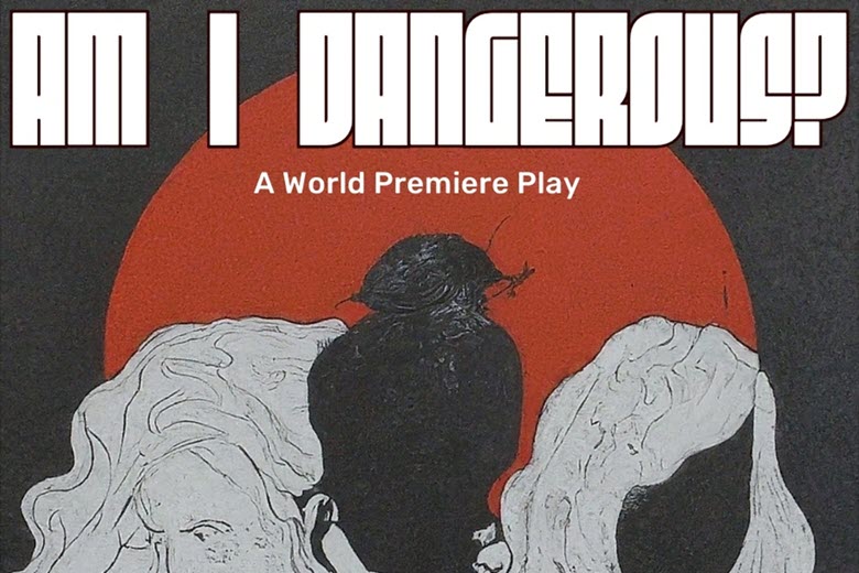 Am I Dangerous - A World Premiere Play by ek doolin