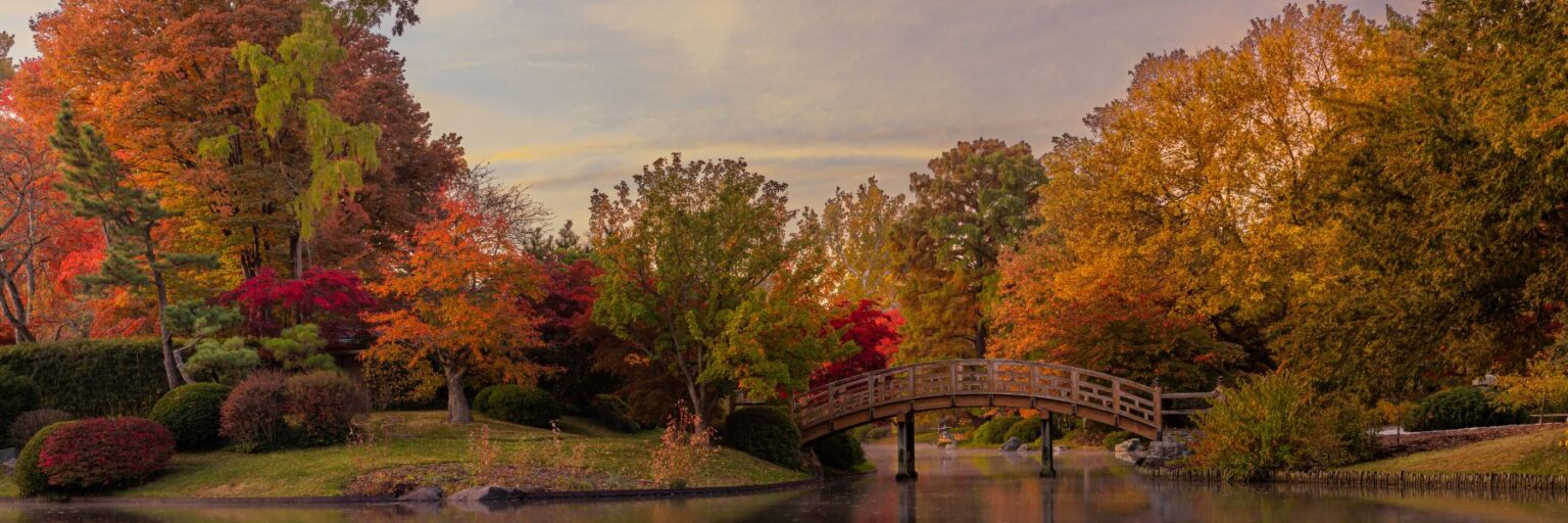 20 Things to Do in St Louis in October