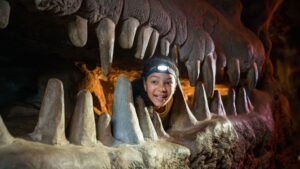 A young girls peaks out of a dinosaur's mouth at City Museum in St Louis.
