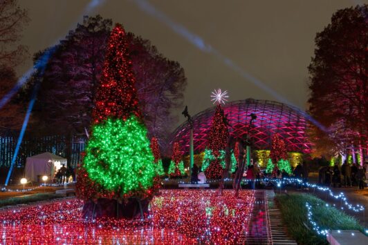 Garden Glow illuminates the Missouri Botanical Garden during the holidays in St Louis.