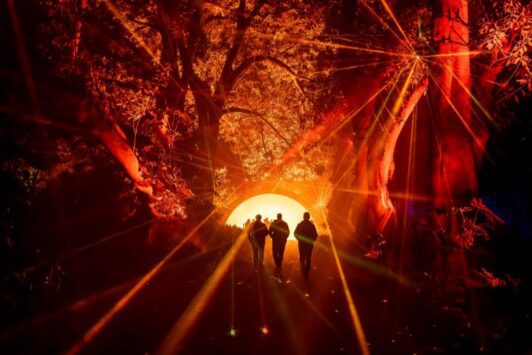 Light Cycles is an immersive night walk with light and sound installations coming to Brookdale Farms.