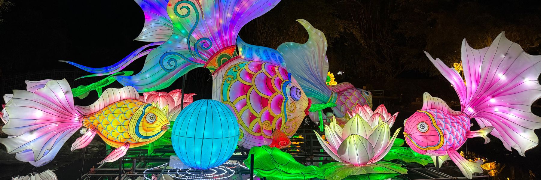 Opening on March 12, the Animals Aglow Lantern Festival is one of the top 5 things to do in St Louis this weekend.