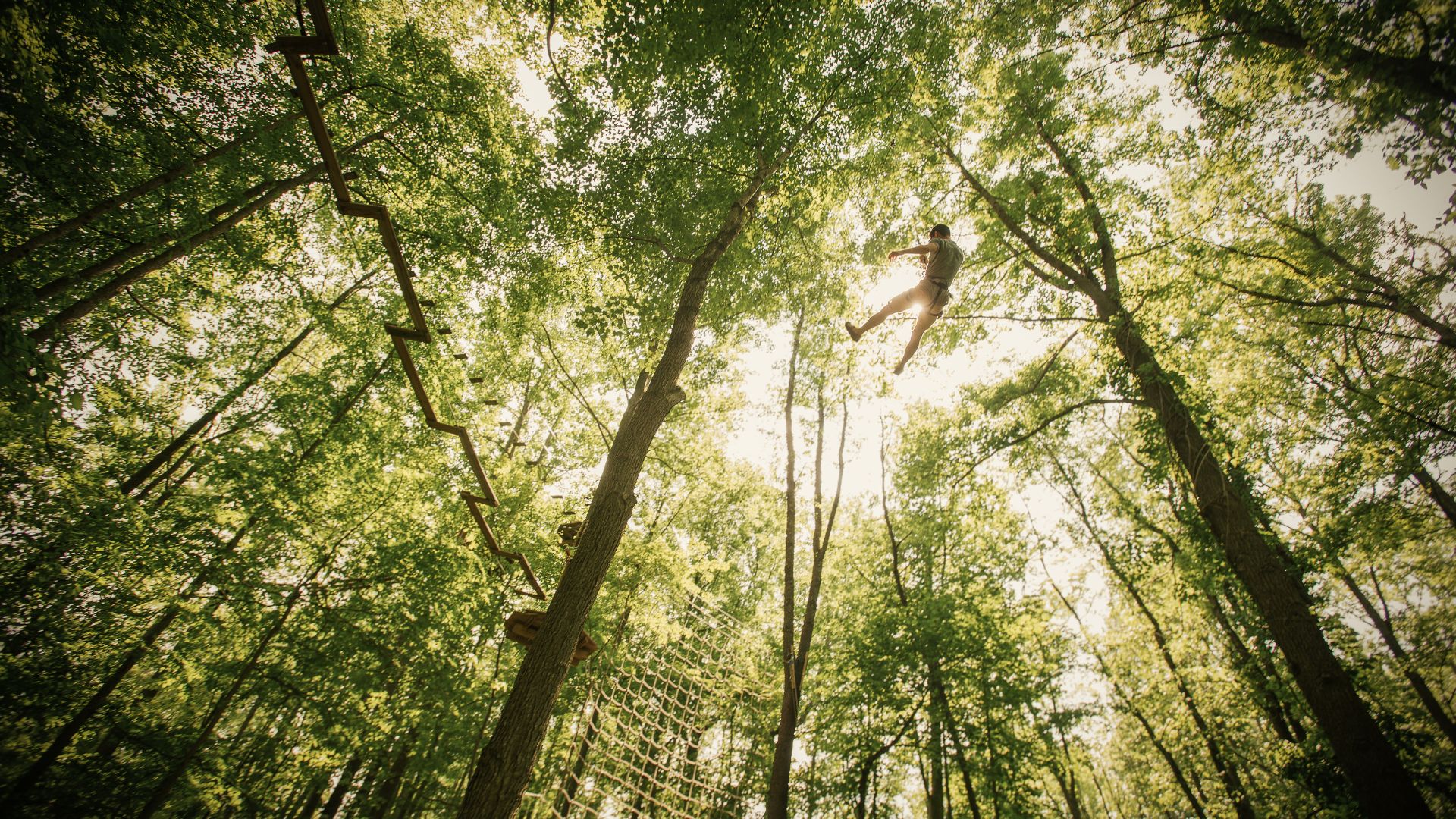 The camera looks up at a man on a Tarzan swing, one of the most thrilling outdoor activities St Louis has to offer.