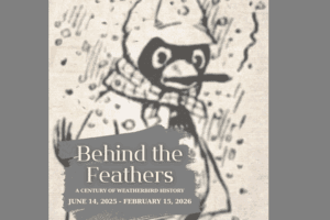 Behind the Feathers A Century of Weatherbird History at Field House Museum.
