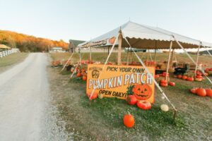 Brookdale Farms hosts a pumpkin patch in St Louis every fall.