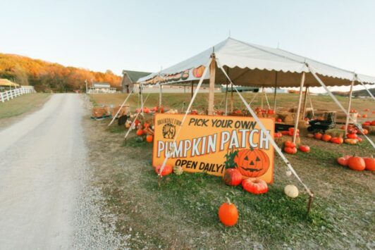 Brookdale Farms hosts a pumpkin patch in St Louis every fall.