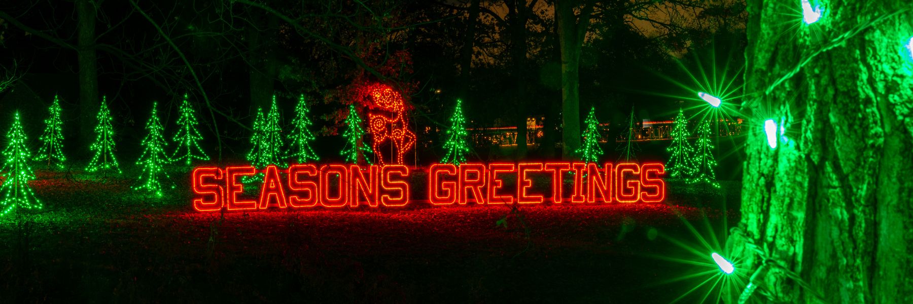 Homepage hero background