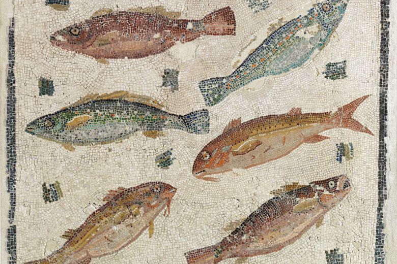 This fish mosaic, preserved from the height of the Roman empire, is part of a new St Louis art exhibition in 2026.