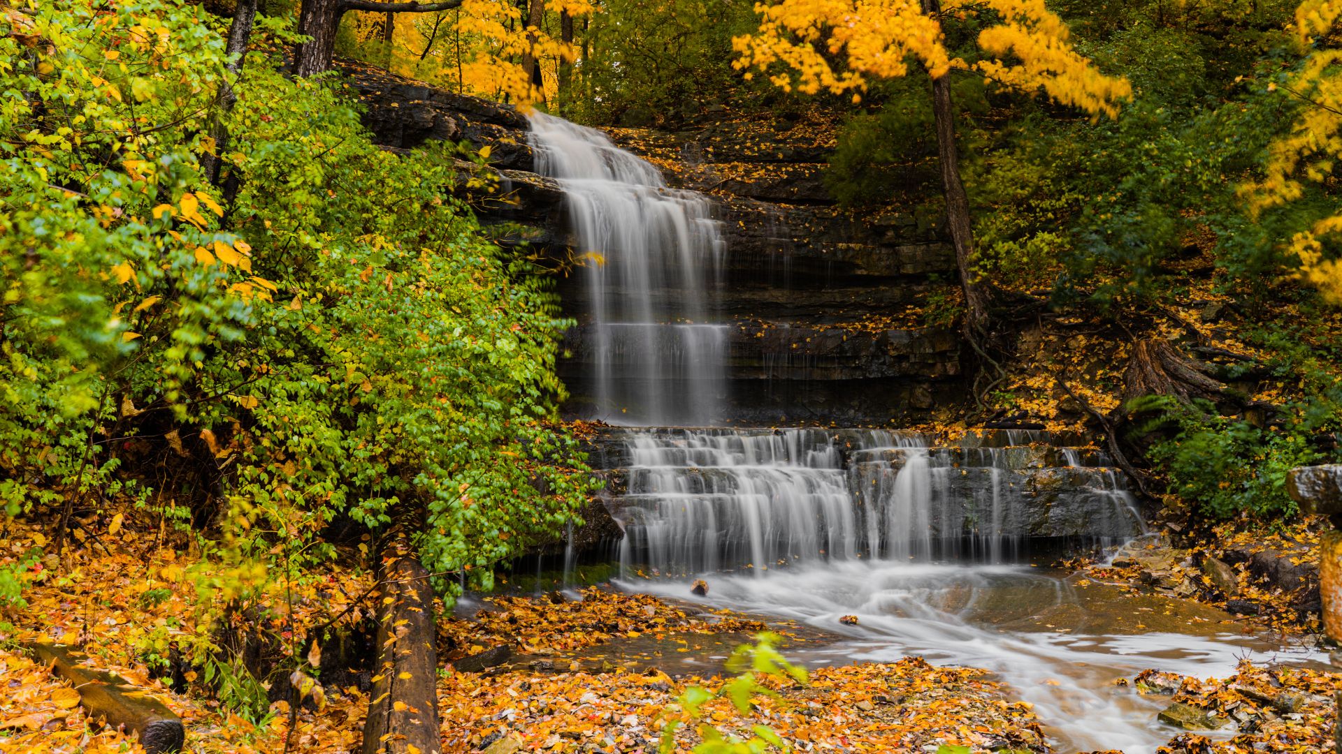 Creve Coeur Park encompasses this waterfall as well as two lakes where outdoor enthusiasts can go birdwatching in St Louis.