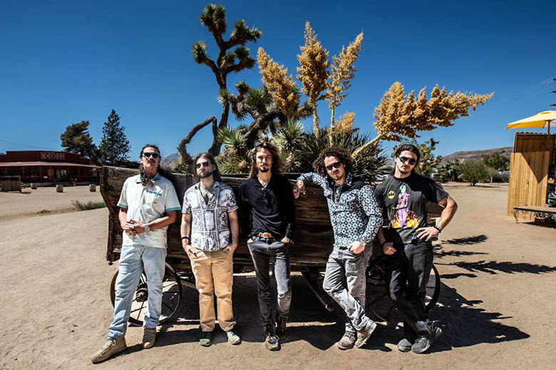 Dogs In A Pile at Delmar Hall.