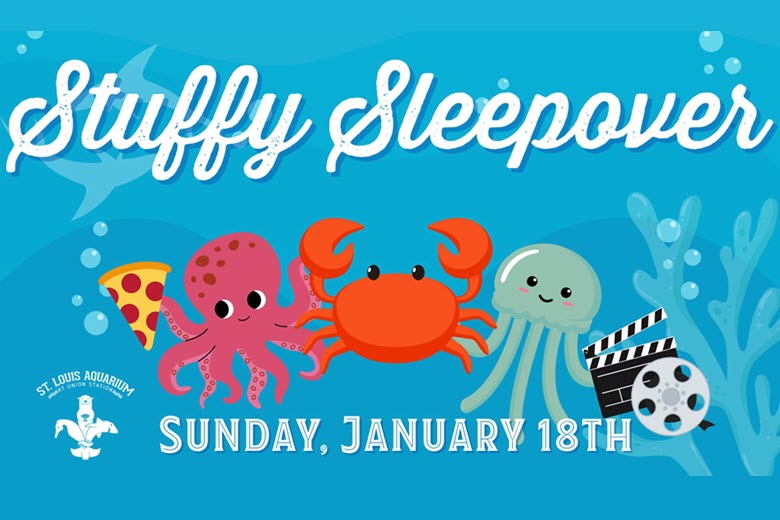 Stuffy Sleepover at the St. Louis Aquarium.