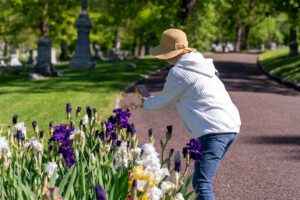 Spring Bulb Walking Tour at Bellefontaine Cemetery and Arboretum.