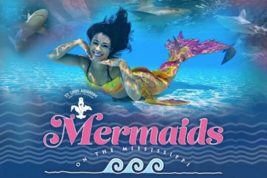 Mermaids on the Mississippi at the St. Louis Aquarium.