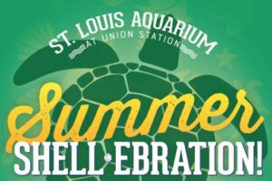 Summer Shell-ebration at St. Louis Aquarium at St. Louis Union Station.