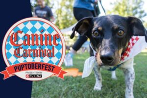 Canine Carnival at Francis Park.