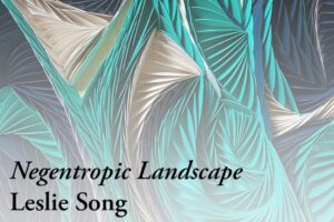 Negentropic Landscape at St. Louis Artists’ Guild