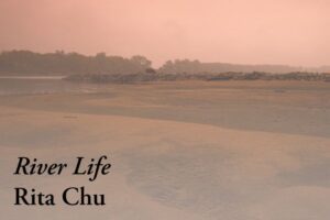 River Life by Rita Chu at St. Louis Artists’ Guild.