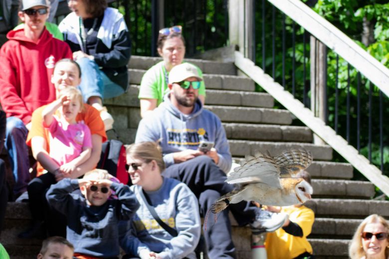 Taking Wing: A Flight Show at the World Bird Sanctuary.