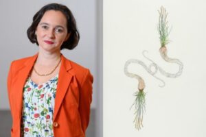 Roots and Rhizomes: Relational Networks in the Art of Carolina Caycedo at the Mildred Lane Kemper Art Museum.