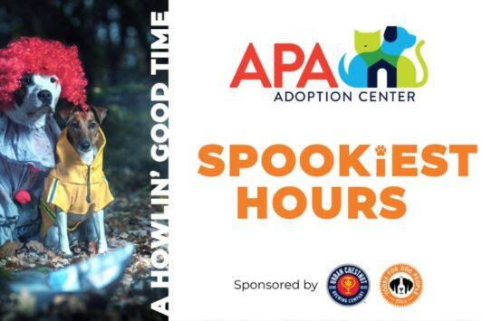 Spookiest Hours at APA Brentwood.