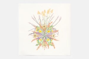 Public Tour | Plants as Medicine at the Mildred Lane Kemper Art Museum.