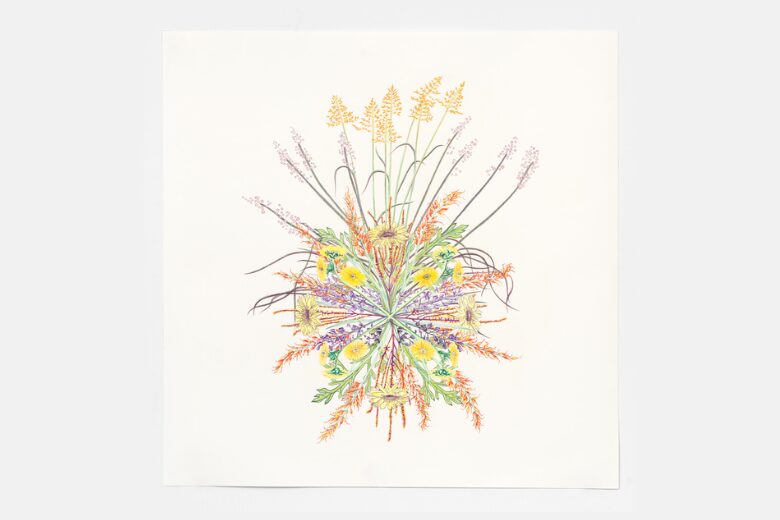 Public Tour | Plants as Medicine at the Mildred Lane Kemper Art Museum.