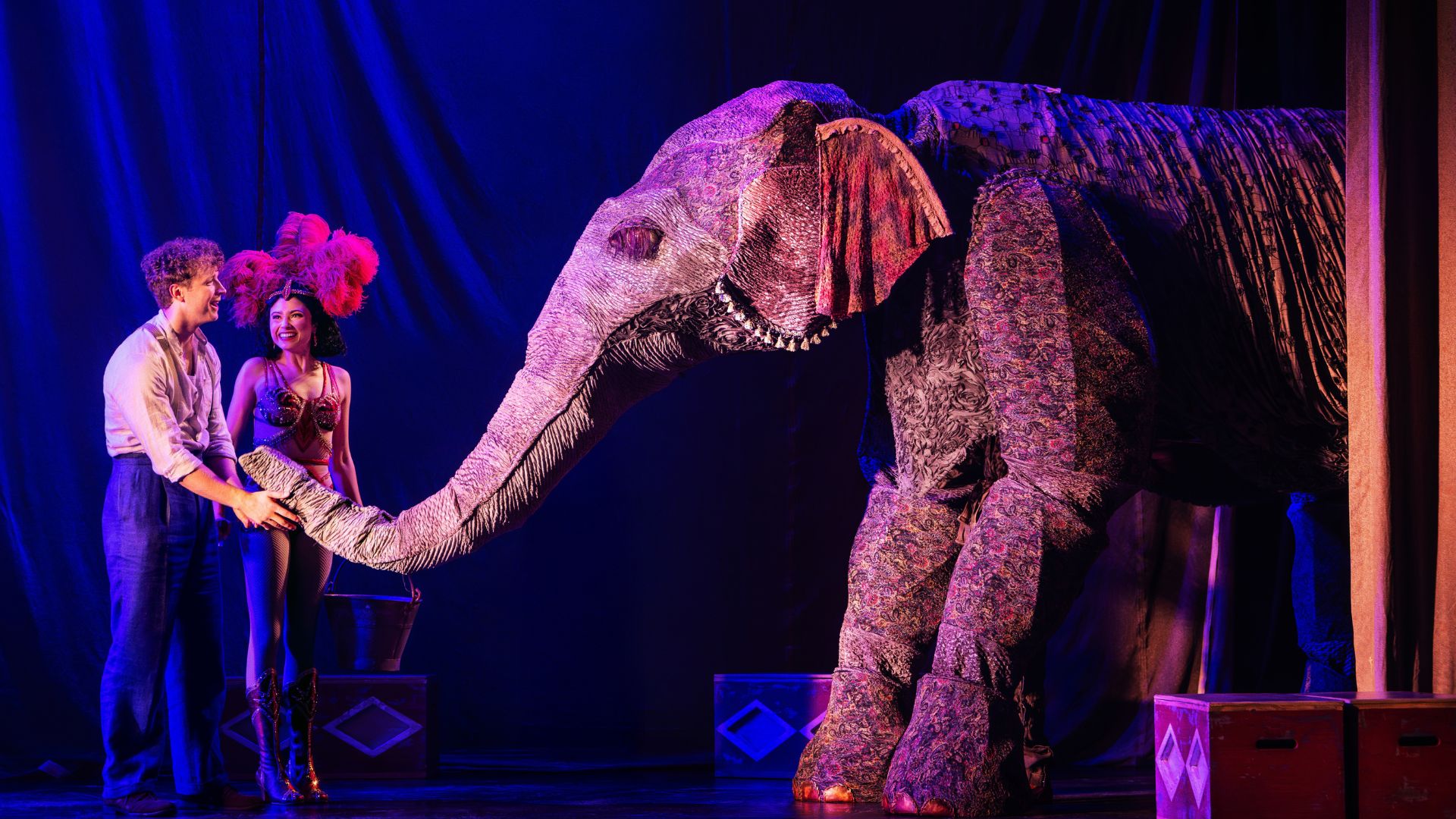 In the Broadway musical Water for Elephants, an animatronic elephant takes the stage.